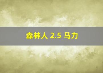 森林人 2.5 马力